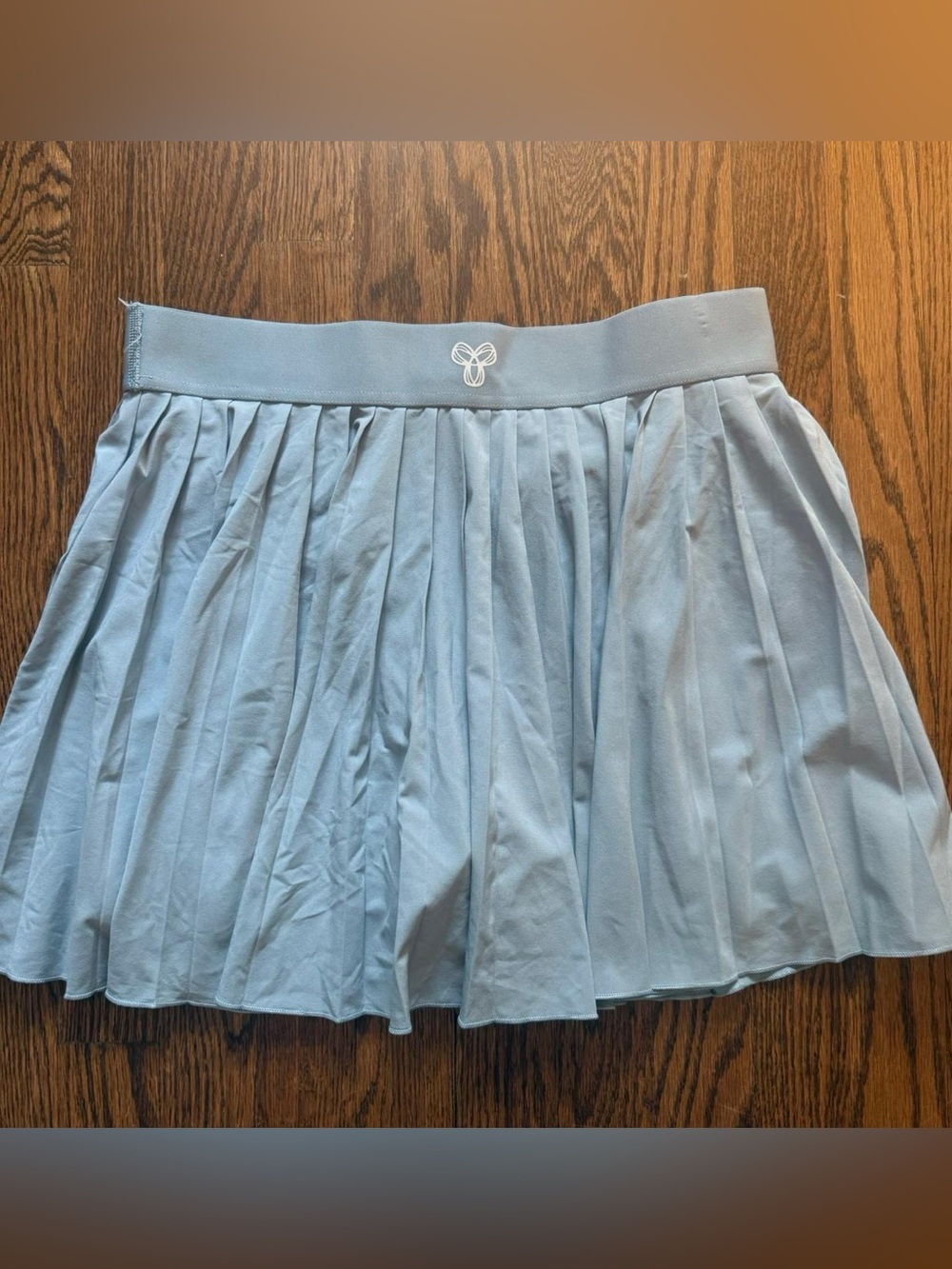 Aritzia Light Blue Pleated Mini Skirt